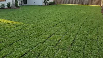 Freshly installed green sod lawn showcasing professional landscaping in Sarasota, FL