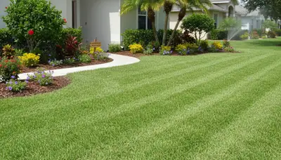 Lush, well-manicured lawn on Sarasota FL property showing results of professional lawn maintenance